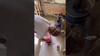Пытаюсь спасти стены на кухне #ремонтвсьемнойсталинке