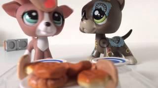 Lps waffles