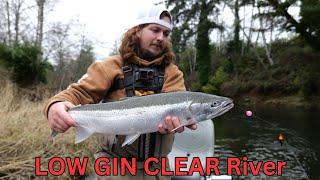 FIRST Winter Steelhead | LOW Water GRIND!! |