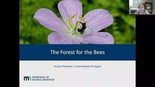 Petersen: The Forest for the Bees