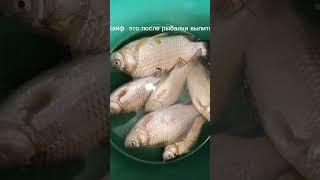 #Диктуй Клёв #Кайф #Рыбалка #Fishing #Fish #РыбалкаМояЖизнь