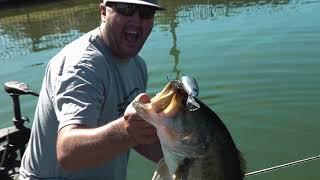 Informative Fisherman catching a 7 pounder on the Headbanger Spitfire