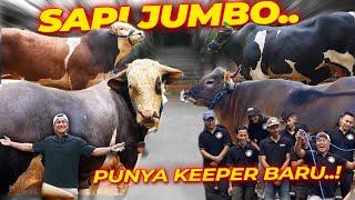 PENENTUAN KEEPER SAPI-SAPI DEHAKIMS  JANOKO ~ NICKI ~ BOMBER ~ CONDROSIMO