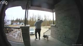 Door Cam Shows Man 'Losing' His Dog