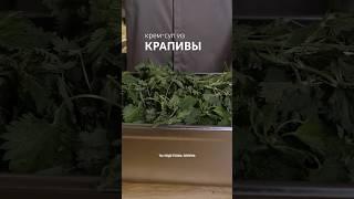 Шпинат уже не в моде!