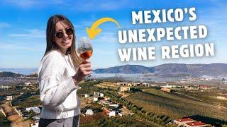 48 Hours in INCREDIBLE Valle de Guadalupe, Mexico | Vineyards, Food, & MORE!