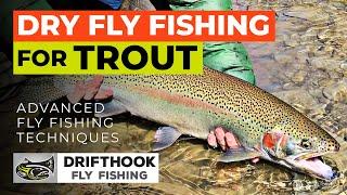 Dry Fly Fishing for Trout - Setup and Techniques