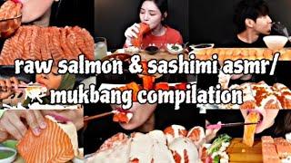 raw salmon & sashimi asmr/mukbang compilation