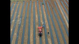 Our New Adventure  - Starting a Lavender Farm