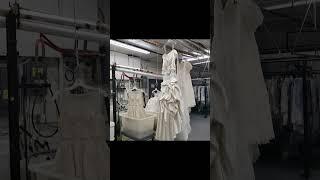 Wedding Gown Preservation