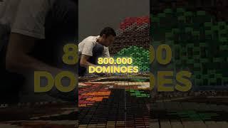 800,000 Dominoes - World Domino Collective 2023 PROMO