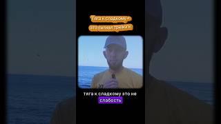 Тяга к сладкому #нутрициолог #здоровье #здоровыйобразжизни #привычки #питание #пп #углеводы #зож