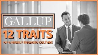 Top 12 Traits of a High-Performance Company Culture (from a Gallup Engagement Survey) PART 1