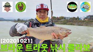 [20201021] 브라운 트라웃 낚시 with 헌터퐝 x 정브르 x TV생물도감 x 백그라운드TV(Brown trout fishing in Korea)