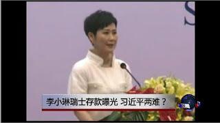 时事大家谈：李小琳瑞士存款曝光，习近平两难？