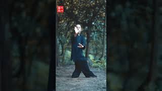 武当八卦掌第13集掌法教学（3）第2掌（Wudang Kungfu Bagua Palm Teaching）