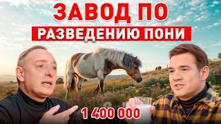  САМАЯ БОЛЬШАЯ И НЕОБЫЧНАЯ ФЕРМА В ЕВРОПЕ!