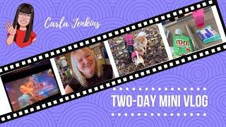 TWO DAY MINI WAFFLE - Inc. LEXX! | CARLA JENKINS