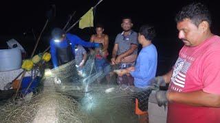 Pesca pesca señores en vivo pescadal