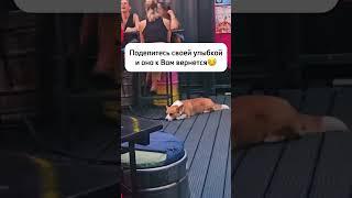 Поделитесь улыбкой с этим миром️