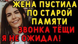 Жена уехала в родной город, звонка тёщи я не ждал... Интересные истории измен, истории из жизни