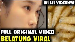 VIDEO VIRAL TIKTOK DAN TWITTER// ADA BELATUNG DI ANU NYA CEWEK.