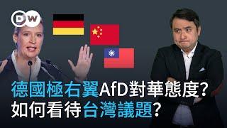 德國極右翼另類選擇黨（AfD)對華立場如何？怎樣看待台灣問題？ 這個政黨什麼來頭？| DW一看你就懂