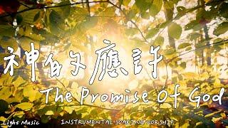 The Promise Of God | Soaking Music | Piano Music | Prayer Music |1 HOUR Instrumental Soaking Worship