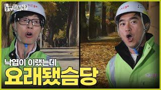 [ENG SUB] 지난주 단풍 천국 이번 주 낙엽 지옥 | #놀면뭐하니? #유재석 #김석훈 #MBC241116방송