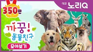 까꿍! 동물친구ㅣ자연관찰ㅣ모아보기ㅣBabies&KidsㅣPikaboo! Animal friendsㅣDaekyo noriQ l 대교 노리Q