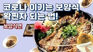 코로나 이기는 보양식 확찐자 되는 법! (feat.직장인 푸드파이터 ‘보양식편) | 메밀국수,비빔메밀,야채호떡,장어덮밥,닭볶음탕,샤브샤브,등촌칼국수,치아글,파운드케이크)