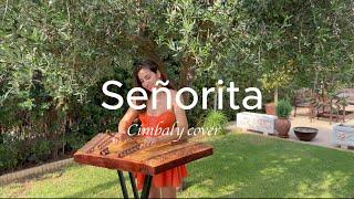 Señorita- Camilla Cabello& Shawn Mendes instrumental song cover/cimbaly version