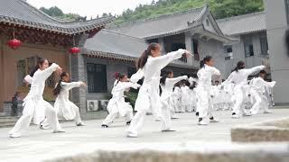 Wushu performance by student