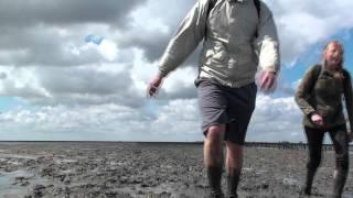 Waddenzee-hike: this is how it starts...