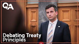 David Seymour: Implications of Treaty Principles Bill | Q+A 2024