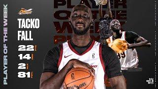 Tacko Fall Named NBA G League Player of the Week