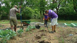 Volunteers turn vacant lot into a community garden in Lincoln Heights