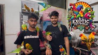 A1 exotic bird shop latest update exotic birds #birds #exotic #pets #birdslover #newmumbai