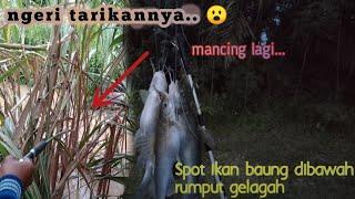 Spot terbaik mancing ikan baung