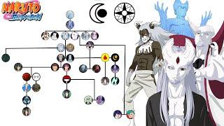 Explicación: ÁRBOL GENEALÓGICO y PODER del Clan OTSUTSUKI | Naruto Shippuden | Boruto| JD Sensei