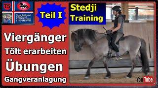 Viergänger Pferdetraining Teil 1, Tipps aus Unterricht, Tölt, Gangveranlagung, Tanja Schienagel