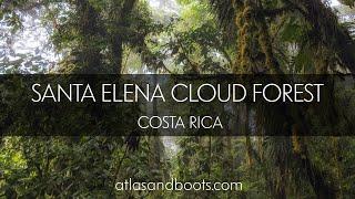 Santa Elena Cloud Forest Reserve, Costa Rica