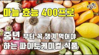 마늘 효능 10가지 중년 건강 관리에 필수