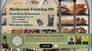 Tower Gardening~Made Easy-Mushroom Farming 101 Step-By-Step How To Maintain and "Blue Oyster" UPDATE