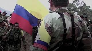 128 Former Farc Members Executed Since ‘peace’ Signed