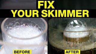 Top Protein Skimmer Fixes & Why They Work!