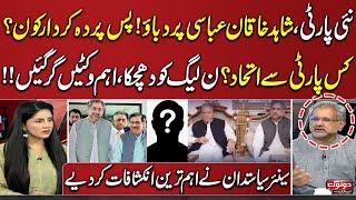 Who Pressurized Shahid Khaqan Abbasi For New Party? | Big Revelations | Do Tok | SAMAA TV