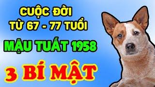 Tử Vi Trọn Đời Tuổi Mậu Tuất 1958, Từ 67 - 77 Tuổi, Được Lộc Trời Cho, Cực Giàu Với 3 Bí Mật | LPTV