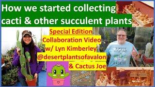 HOW I STARTED COLLECTING CACTI & OTHER SUCCULENT PLANTS - Collaboration with #desertplantsofavalon