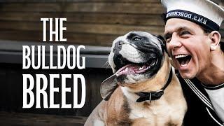 The Bulldog Breed | Full Classic Movie